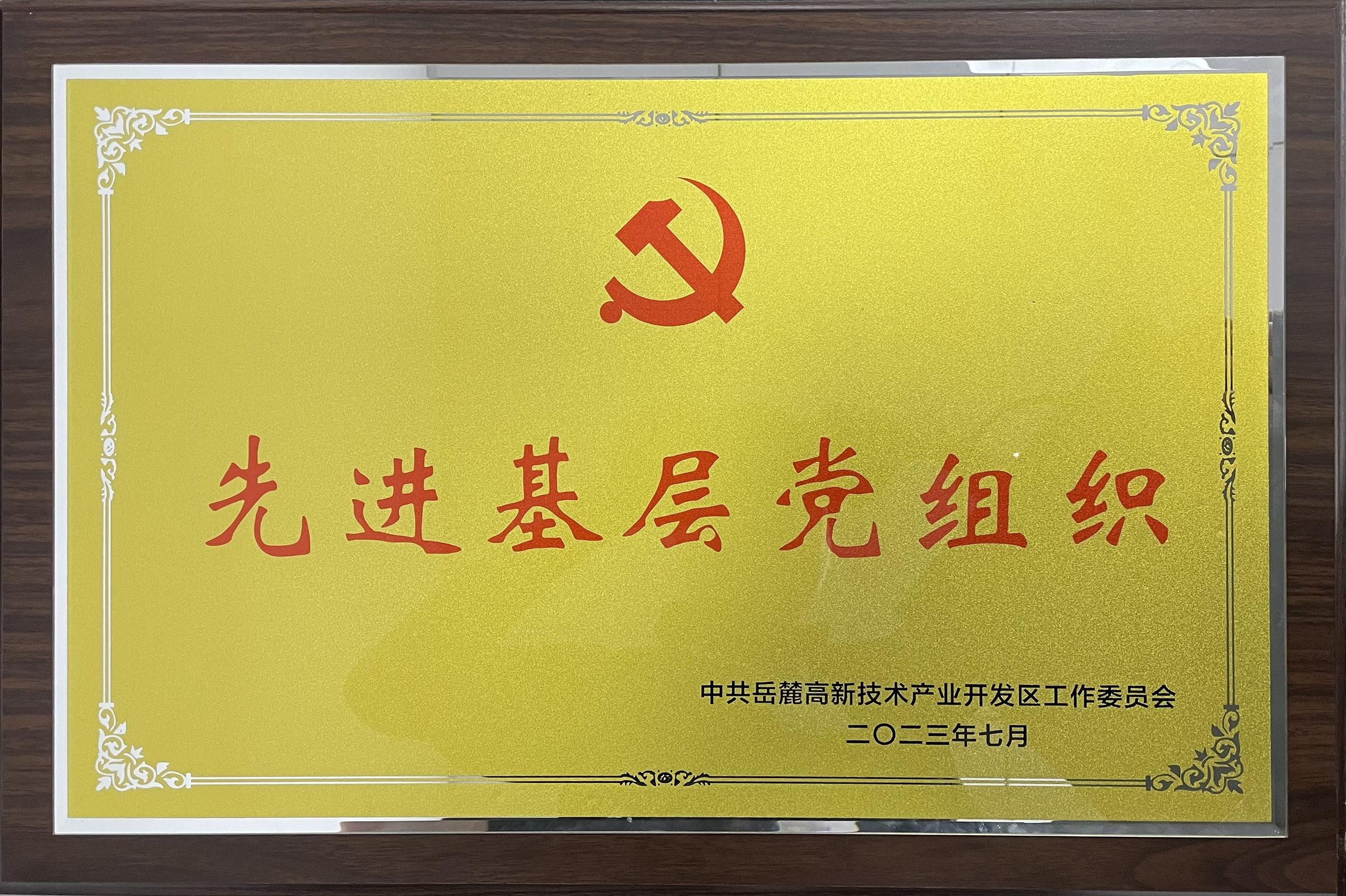 20237ǹȼŵί´ίȽ²㵳֯ƺ