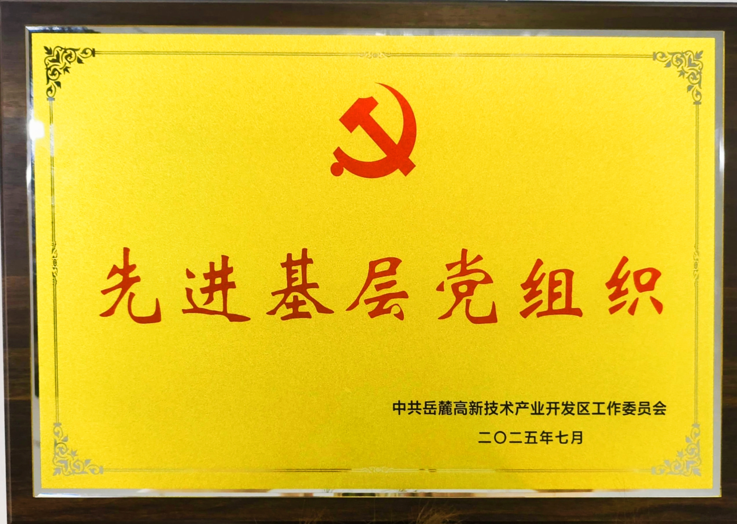 20257ǹȼŵί´ίȽ²㵳֯ƺ